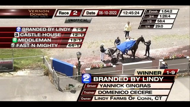 Vernon Downs - Two Races NYSS 3rd Leg TROTS Total Purses 114,000 June 10, 2022