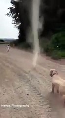 Perrito se vuelve viral al intentar luchar contra un remolino de arena