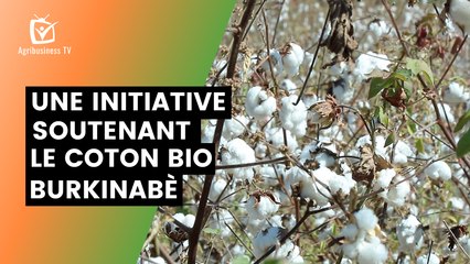 Documentaire : Une initiative locale soutenant le coton bio burkinabé