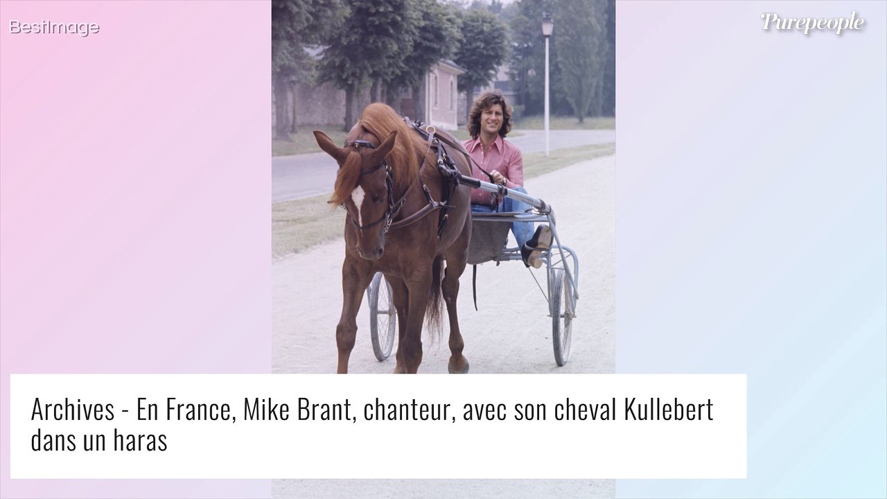 Suicide, assassinat... la mystérieuse mort de Mike Brant : un étrange coup de fil quelques minutes plus tôt