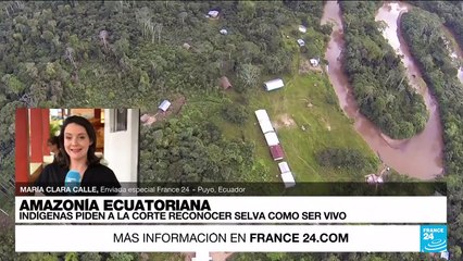 Informe desde Puyo: indígenas buscan que la selva ecuatoriana sea reconocida como un ser vivo