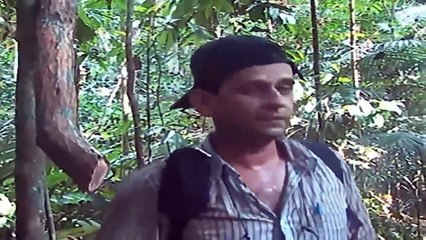 Pesquisadores de Dakila sobrevoam Amazônia para mapear a laser área de Ratanabá