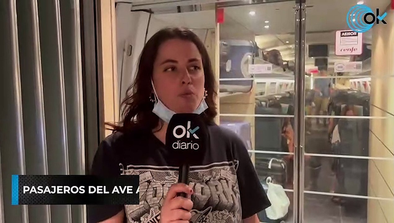 Pasajeros del AVE averiado: "No nos han dado ni de beber"