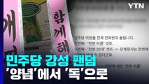 '양념'에서 '독'이 된 강성 팬덤...