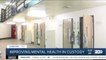 Addressing mental health needs of inmates