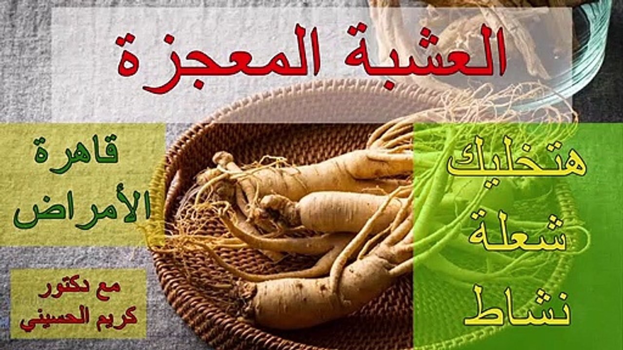 العشبة المعجزة , قاهرة الأمراض , هتخليك شعلة نشاط
