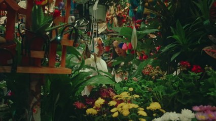 Mario Puglia - Butterfly