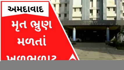 Ahmedabad : કચરાની ડોલમાંથી મળી આવ્યું ભ્રુણ, અજાણી મહિલા સામે નોંધાઈ ફરિયાદ