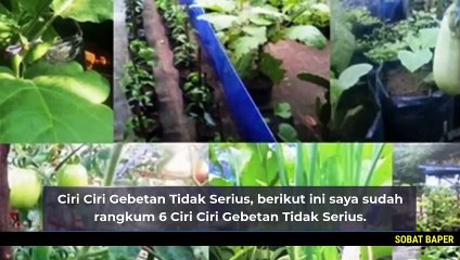 Ciri Ciri Gebetan Tidak Serius