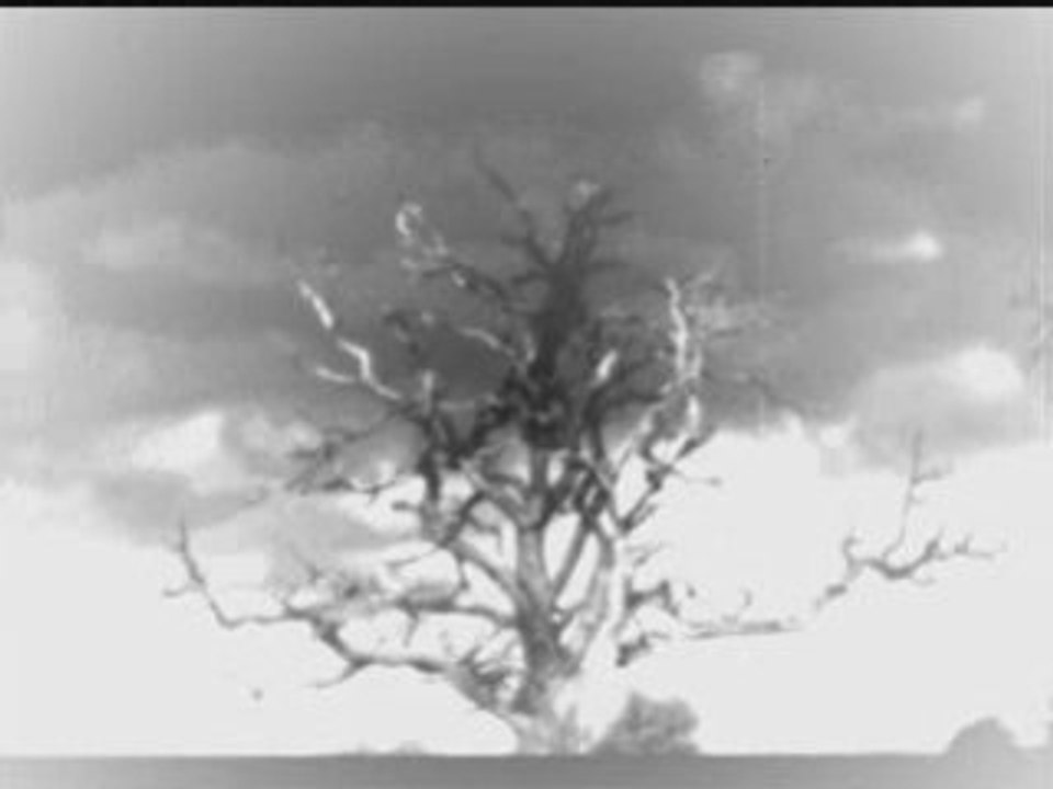 Legacy of freedom_0001