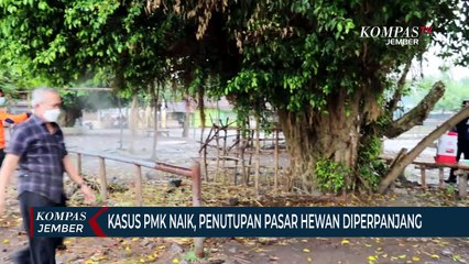 Kasus PMK Naik, Penutupan Pasar Hewan di Lumajang Diperpanjang
