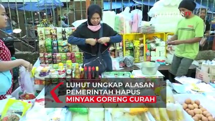 Luhut Ungkap Alasan Pemerintah Hapus Minyak Goreng Curah: Tidak Higienis!