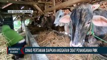Dinas Pertanian Kabupaten Cirebon Siapkan Anggaran Obat Penanganan PMK
