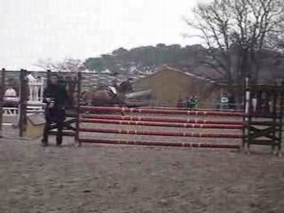 Nymphea 24 Février 2008 002