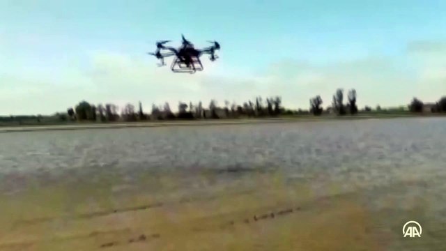 Zirai İnsansız Hava Aracı (ZİHA) ile çeltik ekimi yapılıyor