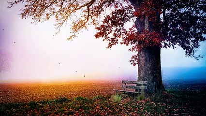 Beauty of Nature - Fantasy - Relaxing - Free HD Videos - no copyright