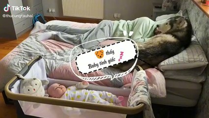 Con quấy mà mãi ngủ, sen bị boss tát mấy phát tới mực giật mình tỉnh giấc