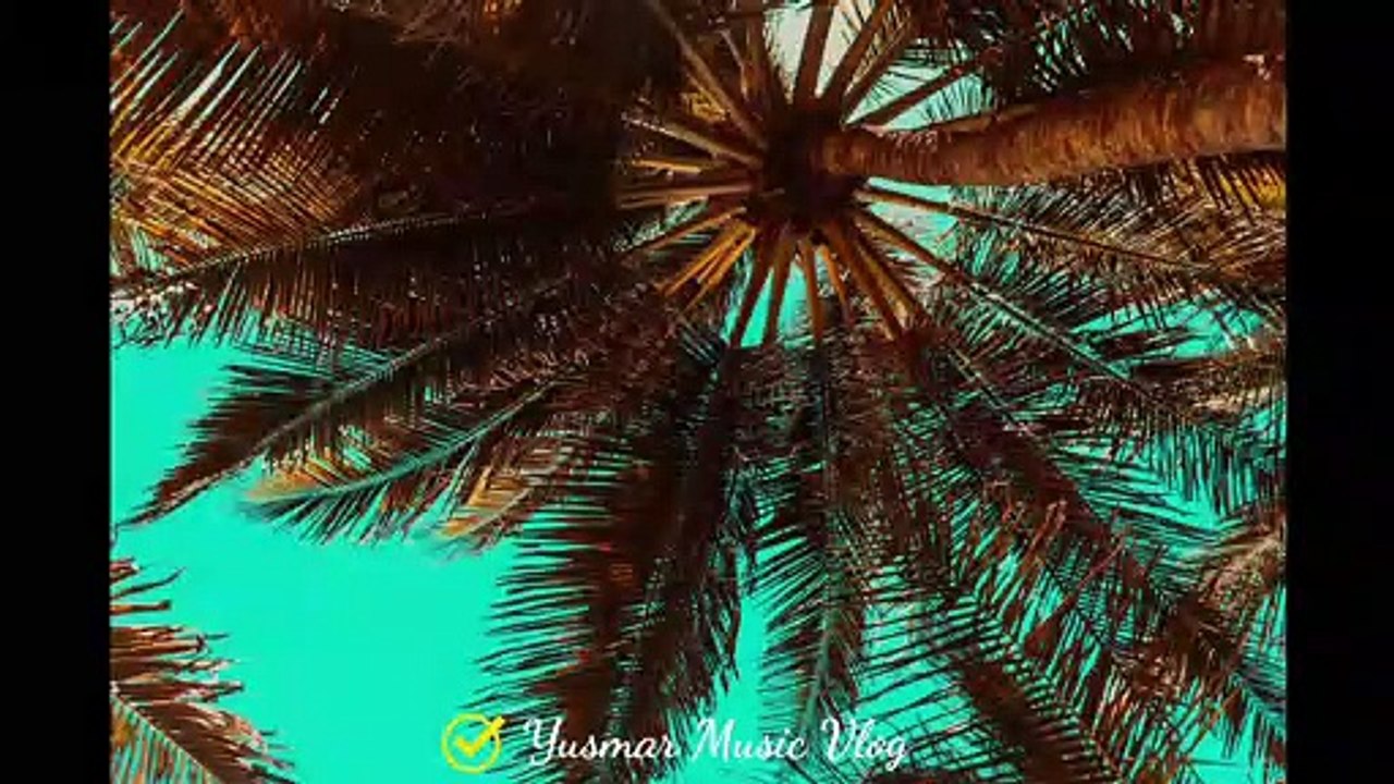 DayFox_-_Space_(Yusmar_Music_Vlog)