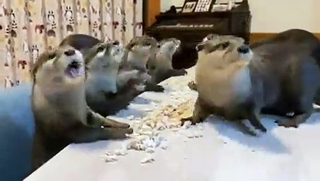 delicious food