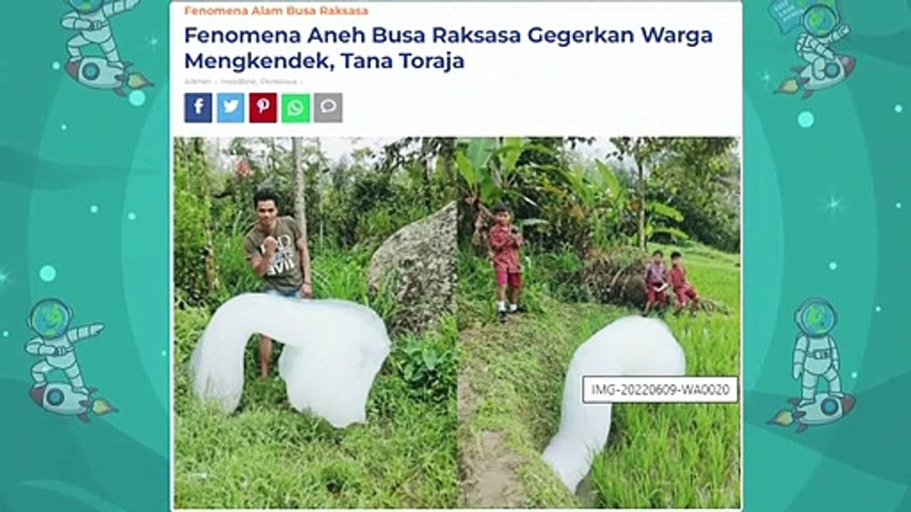 Warga Toraja Gempar! Gumpalan Putih Aneh Menyerupai Awan Tiba² Muncul Penuhi Desa