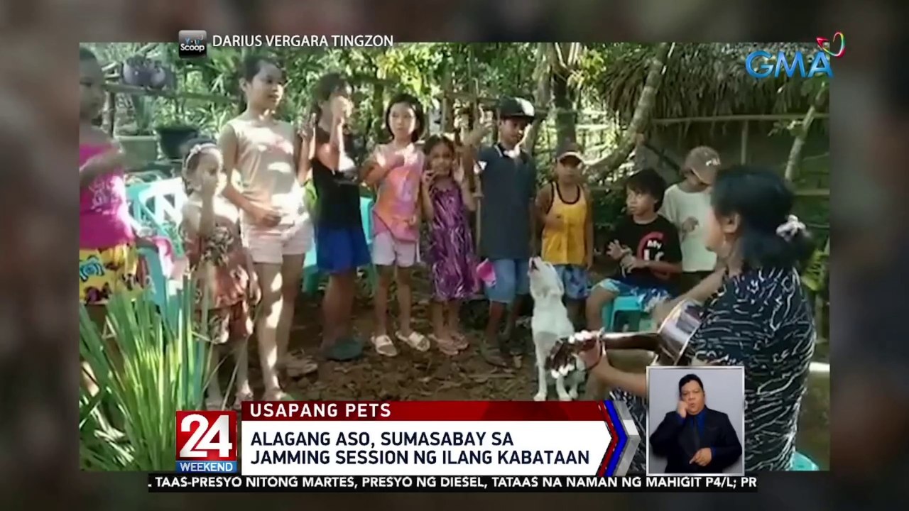 Alagang aso, sumasabay sa jamming session ng ilang kabataan | 24 Oras Weekend