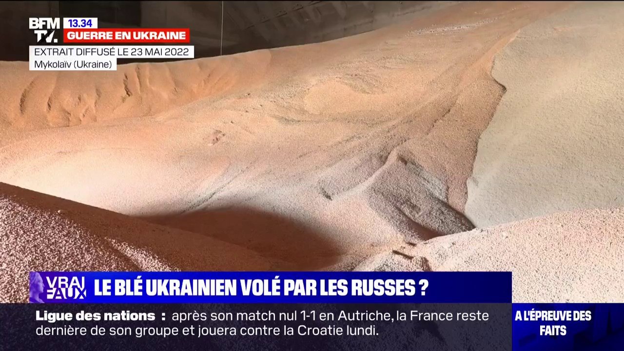 LA VÉRIF' - Les Russes volent-ils du blé et d'autres céréales en Ukraine ?