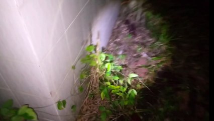 vila angker wilayah bogor