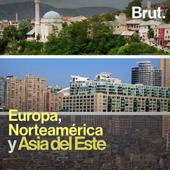 Estos mosquitos podrían invadir París o Chicago 