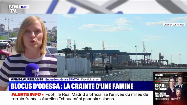 Ukraine: immobilisé par les Russes, le port d'Odessa peut-il être débloqué ?