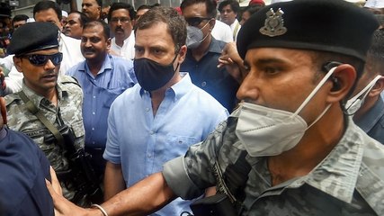 Rahul Gandhi evasive during questioning, ED not satisfied, says sources