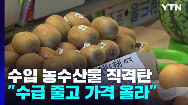 수입 농수산물도 타격... 물건 없거나 비싸서 못 내놔 / YTN