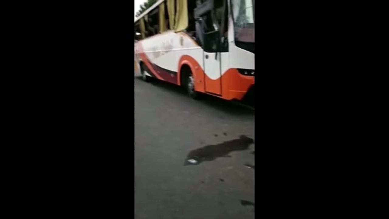 पेड़ से टकराई श्रद्धालुओं से भरी तेज रफ्तार बस, कई दूर तक घिसटी, एक की मौत, 14 गंभीर घायल