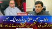 PPP, PML-N could not reach a consensus on the distribution of ministries in Punjab