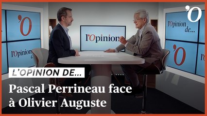 Pascal Perrineau: «Elisabeth Borne n’a pas joué son rôle de chef de la majorité durant la campagne»