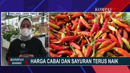 Gagal Panen Akibat Cuaca Buruk, Harga Cabai di Kediri Melambung Tinggi!
