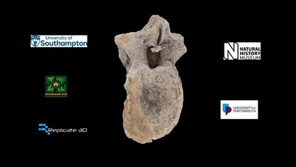 Representación en 3D del hueso caudal del dinosaurio más grande hallado en Europa
