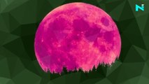 Strawberry Moon 2022: When, where to watch the Supermoon