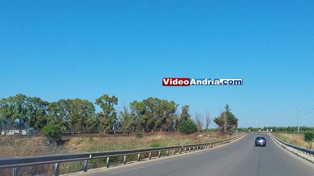 Grosso incendio sulla strada provinciale Andria-Bisceglie, vegetazione distrutta dalle fiamme