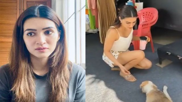 Kriti Sanon ने Dogs को खिलाया खाना, लोगों ने किया बुरी तरह Troll! |FilmiBeat*Bollywood