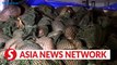 Vietnam News | Efforts to save pangolins in Vietnam