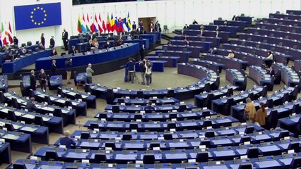 유럽의회 의장 "우크라이나 EU 가입 강력 지지" / YTN