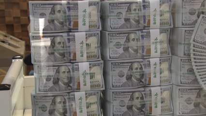 美, 한국 환율관찰대상국으로 또 지정...중·일 포함 모두 12개국 / YTN