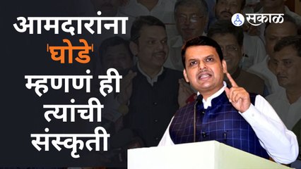 Rajyasabha Elections: देवेंद्र फडणवीस म्हणतात, संजय राऊतांना आत्मपरीक्षण करण्याची गरज 