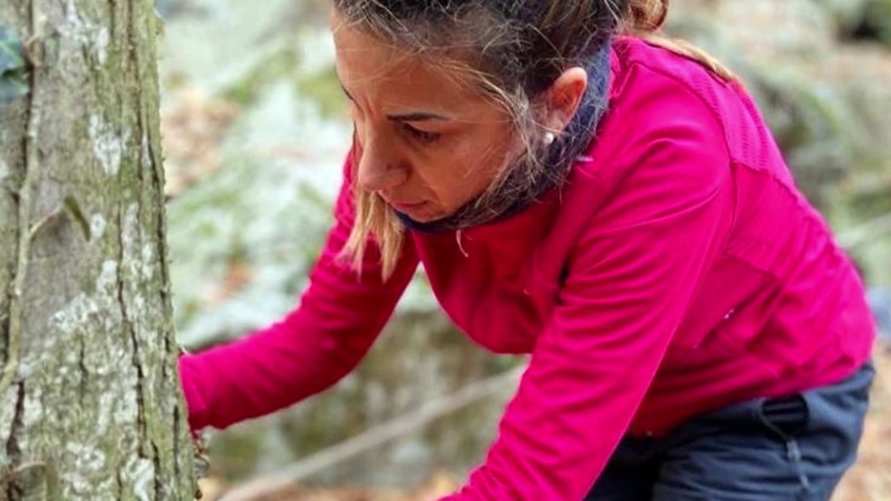 Hospitality Masterclass: Comunicazione Neuro Linguistica