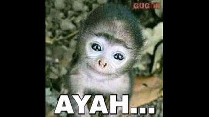 TERLEWAT KEREN !!! - ALUR FILM PAY IT FORWARD