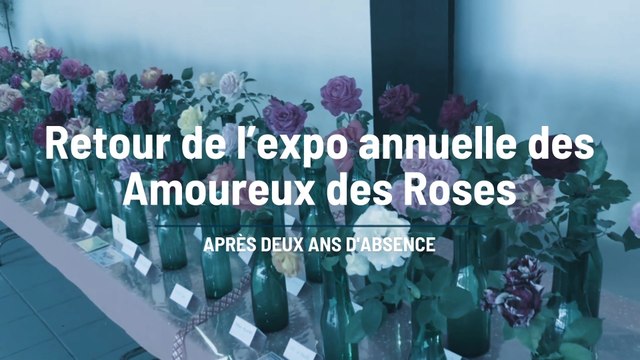 Le retour des roses à Romilly-sur-Seine