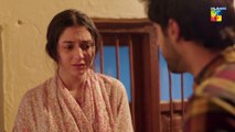 Ibn-e-Hawwa, Episode #18, HUM TV Drama, Official HD Video - 11 June 2022