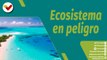 Punto Verde | Los Océanos: un ecosistema para cuidar