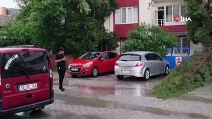 Tải video: Şiddetli rüzgar ağaçları devirdi, elektrik tellerini kopardı