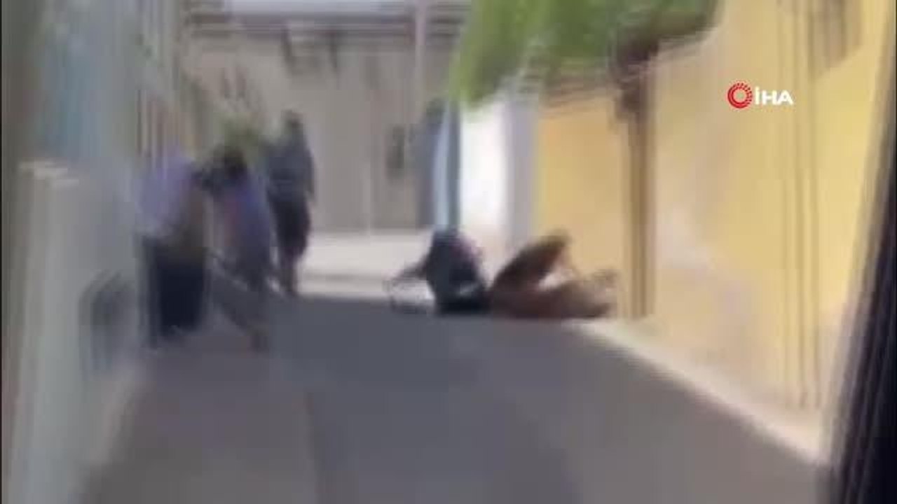 Katil zanlısından şok ifade: "Uyarmamıza rağmen köpek beslemeye devam ettiler"